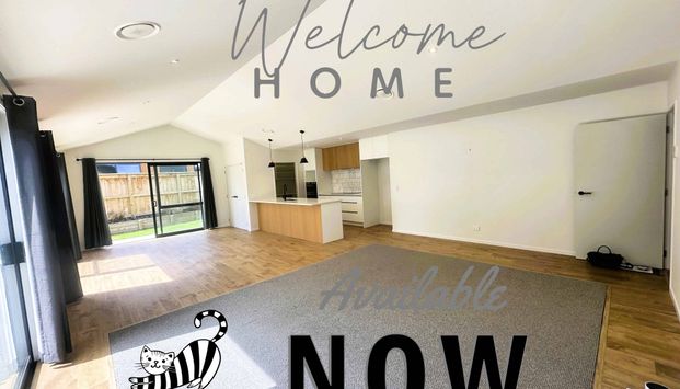 Stunning spacious home in Hanley's Farm - Photo 1