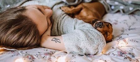 Pet-Friendly Suites for Rent at Navaho Apartments Near Downtown Ottawa - RECEIVE ½ MONTH FREE RENT!* - Photo 4