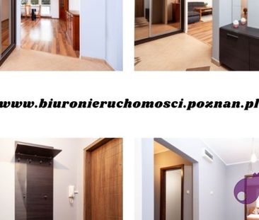 Poznań, Piątkowo, os. Bolesława Śmiałego Mieszkanie na wynajem - Zdjęcie 3