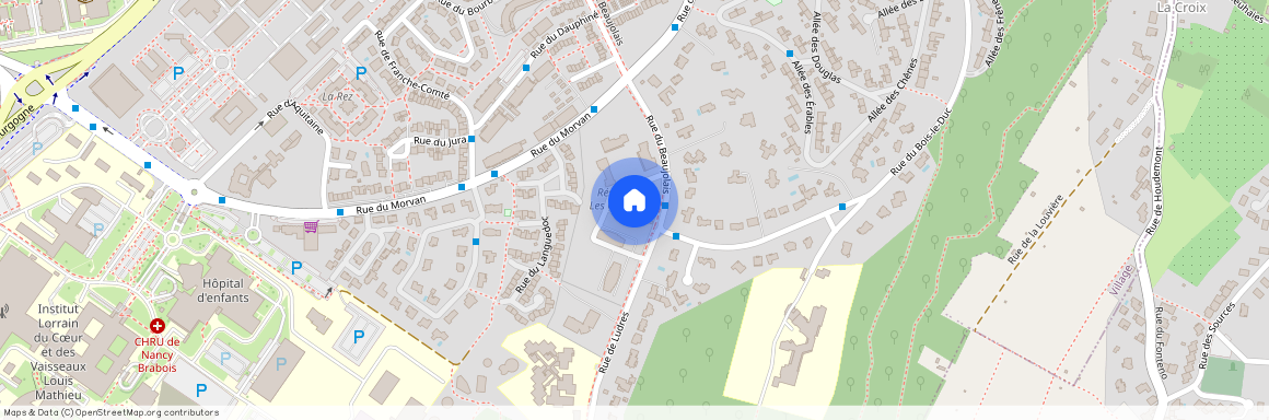 Vandoeuvre Les Nancy