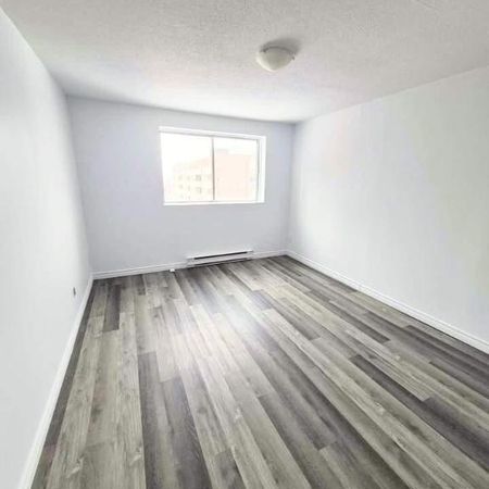 1 CH - 1 SDB - Gatineau - $1,295 /mo - Photo 3