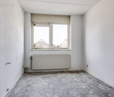 Te huur: Zirkoon 87 - Photo 4