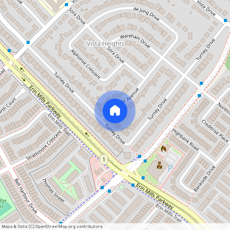 23 Maldaver Avenue, Mississauga