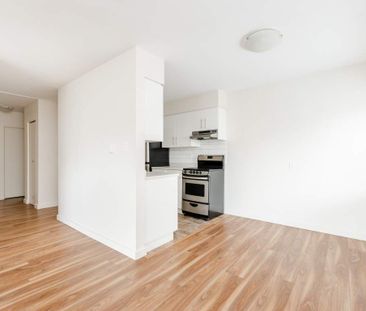 1 Bedroom - Renovated - Photo 4