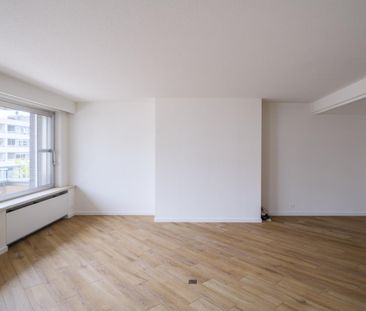 Appartement te huur in Deinze - foto 2