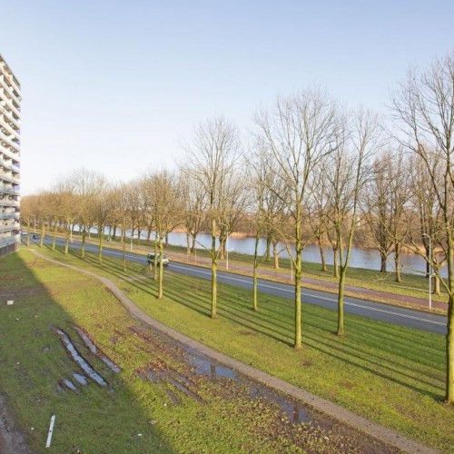 Pharus 0ong, 1503 EC Zaandam, Nederland - Foto 1