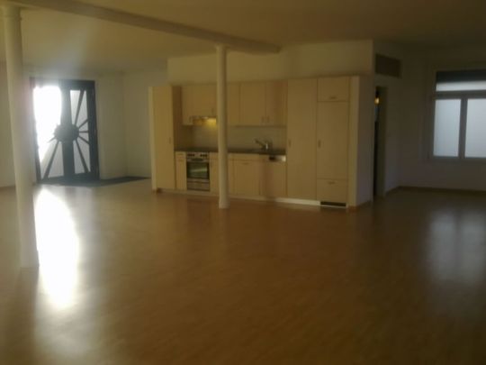 Grosszügige Loftwohnung im EG - Foto 1