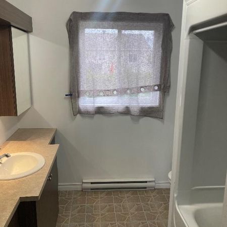 Appartement Grand 5 1/2 - Photo 4