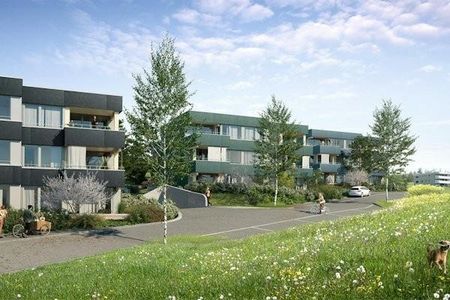 4.5 Zimmer-Wohnung in Birmensdorf (ZH) Ihr neues Zuhause im Grünen - Foto 5