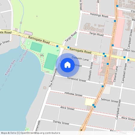 18 Lloyd Street, NSW 2219, Sans Souci