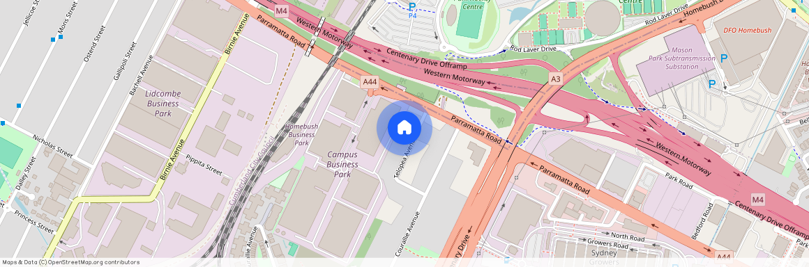 13A Telopea Avenue, NSW 2140, Homebush West