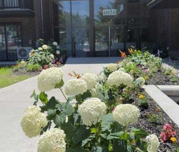 3 1/2 et 4 1/2 Condo style, tout compris, très grand, Pierrefonds 1... - Photo 2