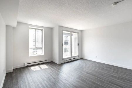 The St-Norbert Apartments — Bachelor available at 150 st Norbert street, Montreal - Photo 3
