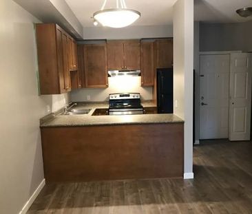 13277 108 Avenue apartment — Surrey, BC (1-Bedroom) - 1 Bedroom - Photo 3