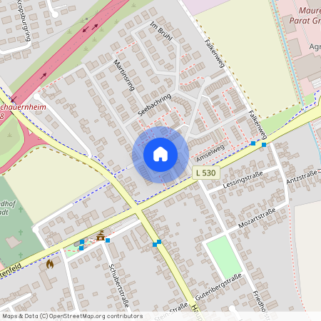 Seebachring 70, 67125 Dannstadt-Schauernheim