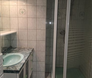 Location Appartement 43.56 M² MUESPACH-LE-HAUT 595 € - Photo 3