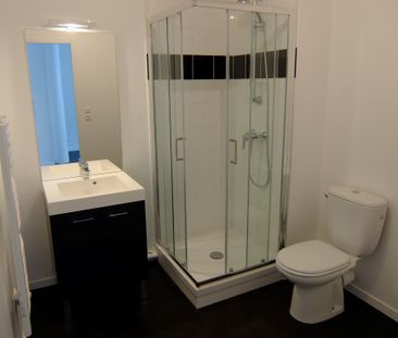 Location Appartement 1 pièce 26m² NANTES 44100 - Photo 3