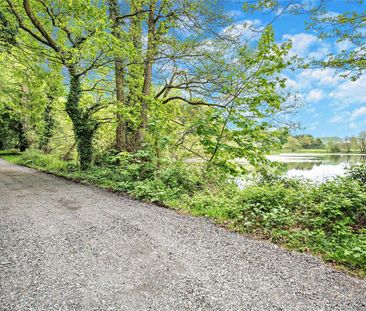 Newly renovated woodland cottage with wraparound garden on the outs... - Photo 2