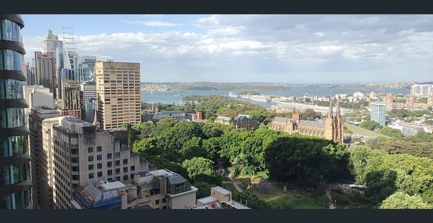 1 Bedroom Great Location and Views - Photo 1