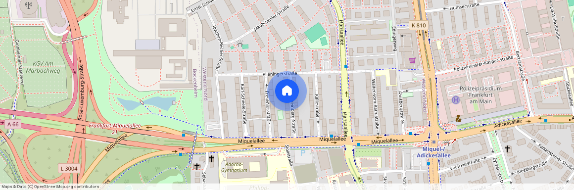 Carl-von-Weinberg-Str. 15, 60320, Frankfurt Am Main Ot Westend-Nord