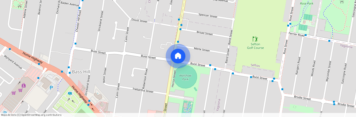 285 Hector Street, Bass Hill 2197, New South Wales