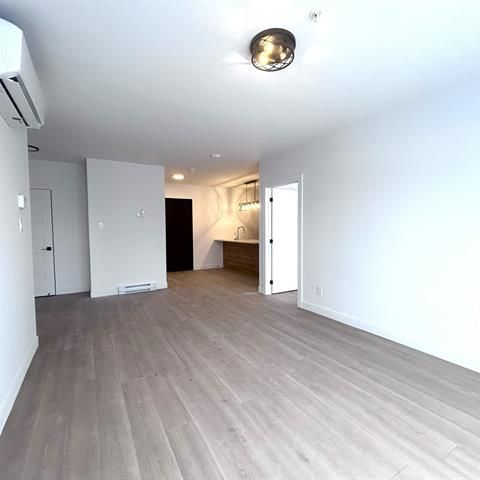 430 Boul. du Bord de l'Eau - Photo 1