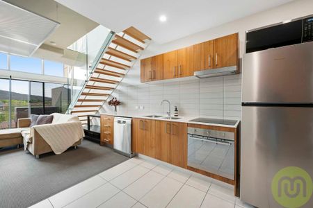 Stunning Loft-Style Apartment with study in the Heart of Braddon - Photo 5