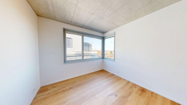 4.5-Zimmer Neubau-Erstbezug am Fusse des Uetlibergs - Foto 1