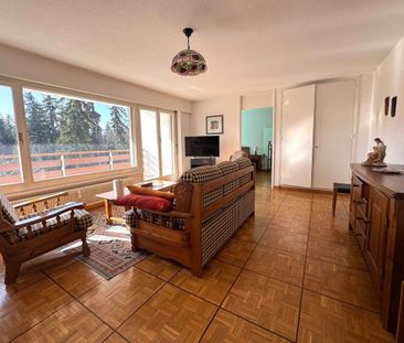 Spacious 2.5-room apartment for rent in the season (April to November) - Photo 1