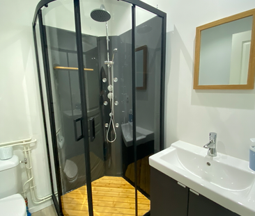 Location Appartement 1 pièce 17m² NIORT 79000 - Photo 4