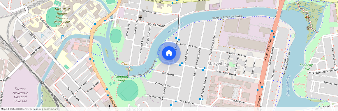 60 Lewis Street Maryville NSW, Appraise My Property Now, Pop Up Form