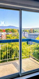 4-1/2 clientèle 50 et plus tranquille belle vue, fraichement peinturer - Photo 3