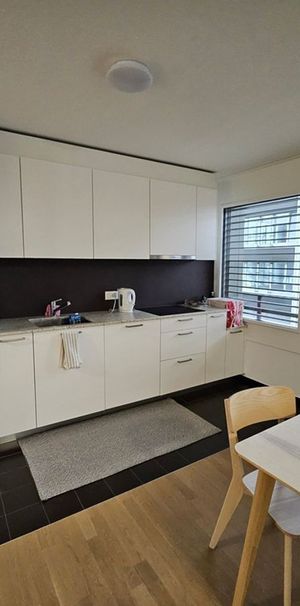 Zweieinhalb-Zimmer-Wohnung im dritten Stock - Photo 1