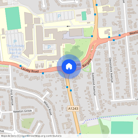 Students Available Now, Campus Corner