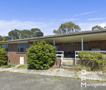 Peaceful Farm Living on Expansive Acreage – A Rare Wonga Park Oppor... - Photo 6