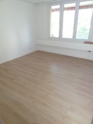 Neu sanierte 2 Zimmerwohnung - Photo 1