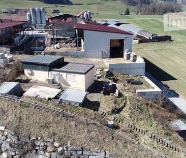 1.5 Zimmer, 568 m² - Photo 5