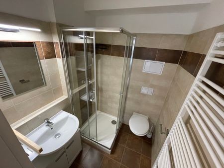 Pronájem bytu 2+kk 41 m², Vomáčkova, Brno - Photo 3