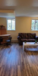 À SAINT-AGATHE-DES-MONTS ,PRÈS DE TOUT LES SERVICES, BORD DE L'EAU RÉSIDENTIEL, BACHELEUR 2½ À LOUER TOUT COMPRIS LIBRE 1 DÉCEMBRE 2025 - Photo 3