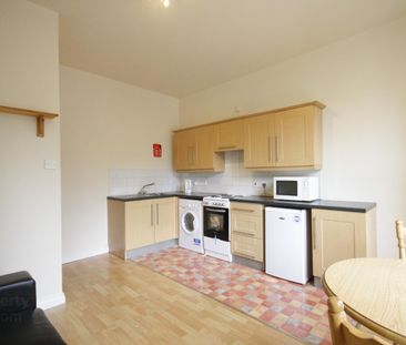 Unit 1, 21 Dunluce Avenue - Photo 3