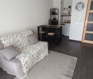 Location Appartement 1 pièce Meublé 21m² VANDOEUVRE LES NANCY 54500 - Photo 1
