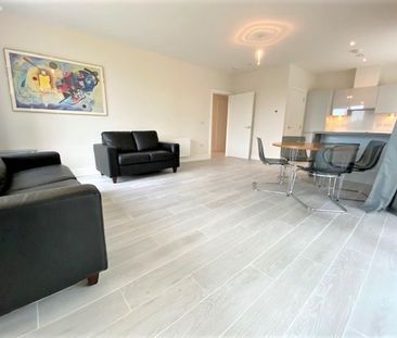 Sycamore Hall, Larkfield Way, Leopardstown, Dublin 18 - Photo 3