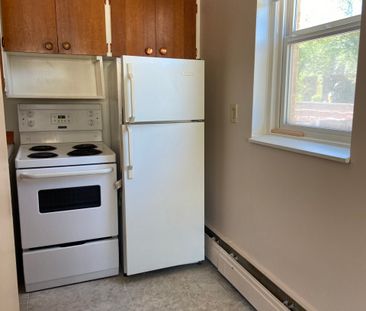 1 BDRM/1 BATH - 415 5TH AVE N - Available MAR 1 - Photo 3