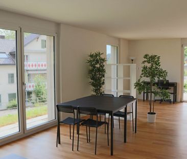 Appartement spacieux, moderne, calme et lumineux au rez-de-chaussée - Foto 6