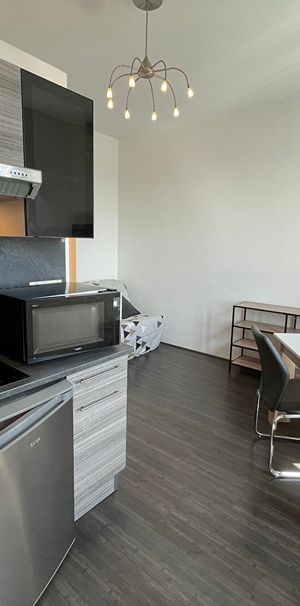 Location Appartement 1 pièce 18m² - Photo 1