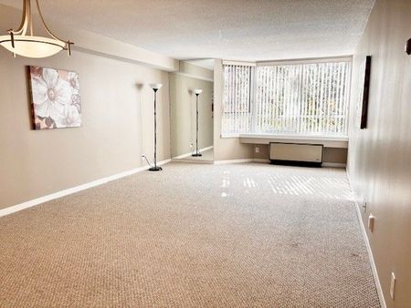 For Lease - 80 Sandcastle Drive Unit# 306, South of Baseline to Knoxdale, Ontario - Photo 5