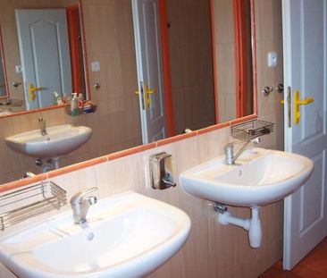 Pronájem pokoje 15 m², Minská, Brno - Photo 5