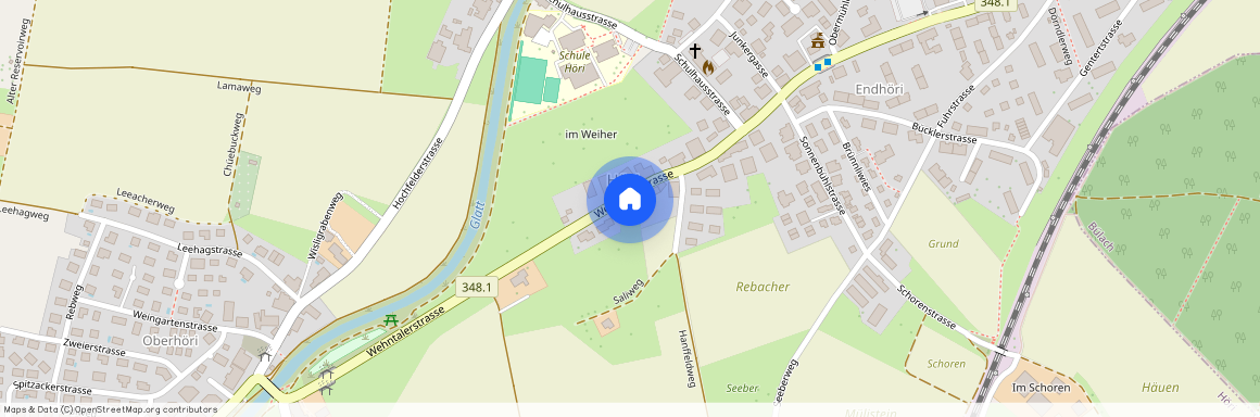 8181, Höri, Wehntalerstrasse, 55