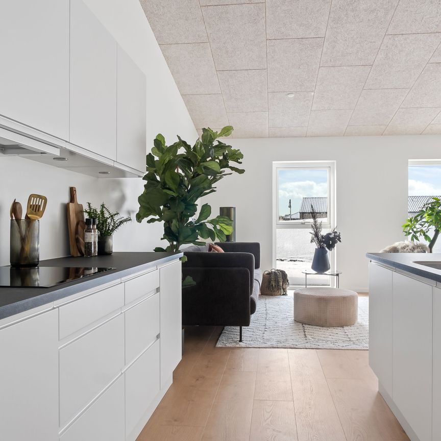 Tøndebåndet 3 - Foto 1