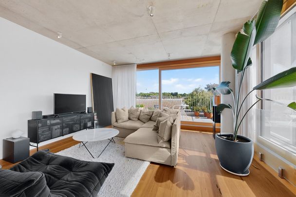 PREMIUM QUALITY APARTMENT - Photo 1